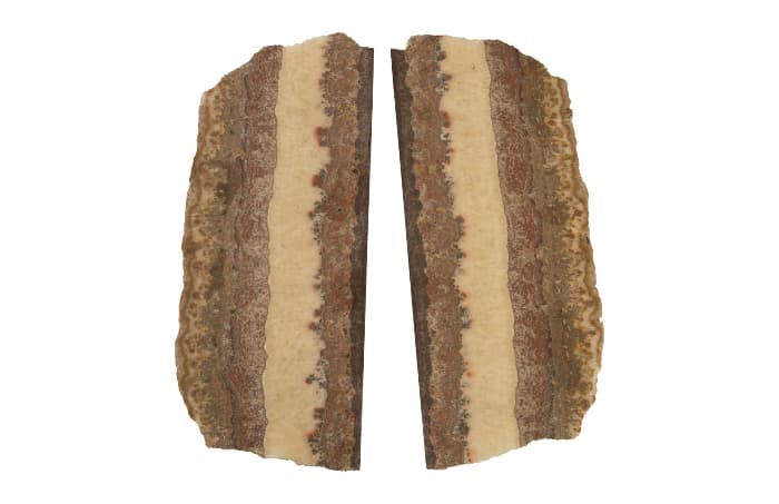 Настенный светильник Philips Collection Onyx Butterfly Sconce Phillips Collection