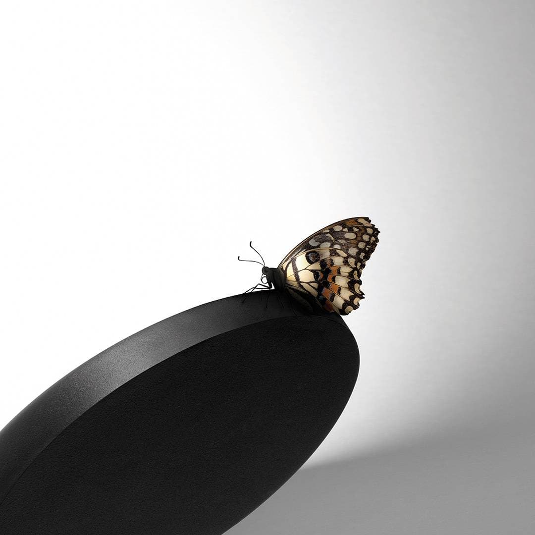 Настенный светильник Arkoslight FLAP Arkoslight