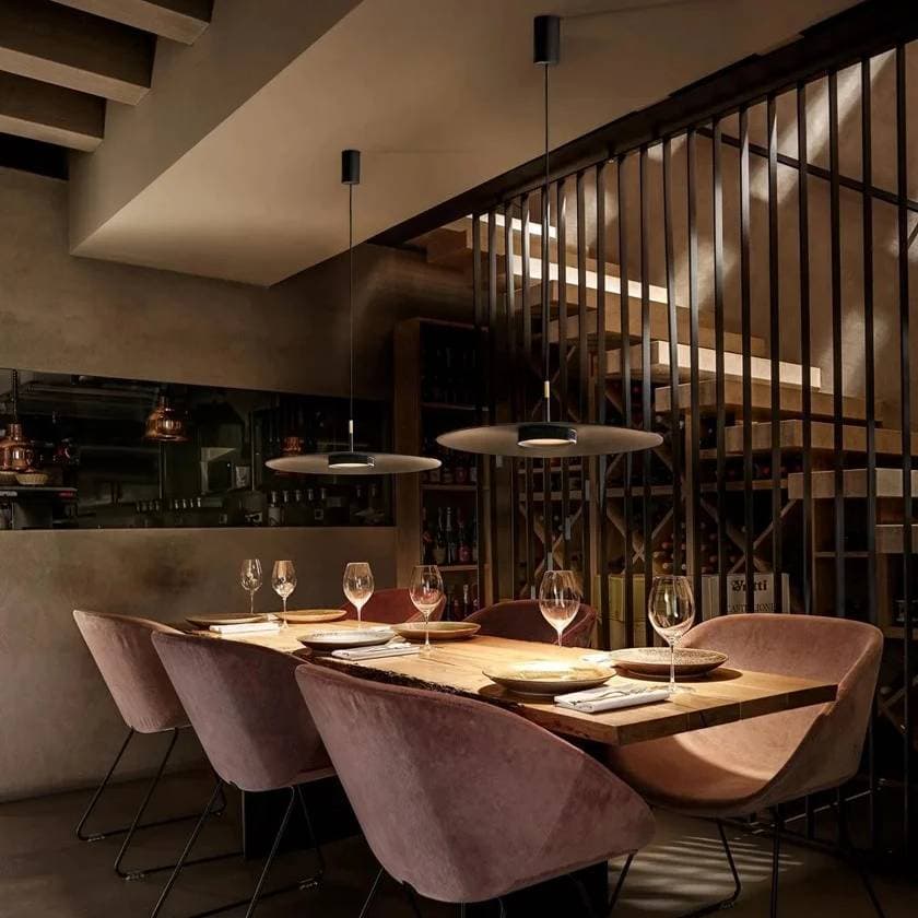 Подвесной светильник Olev OVERFLY PLUS 55 OLEV