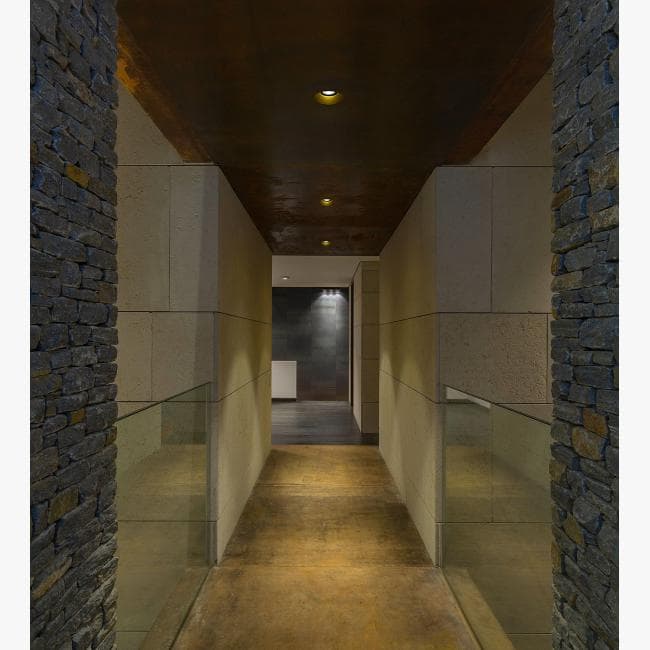 Встраиваемый в потолок светильник Delta Light iMAX ADJUSTABLE TRIMLESS 50 Delta Light