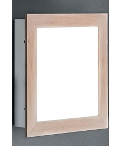 Настенно-потолочный светильник Zonca 30803 Zonca