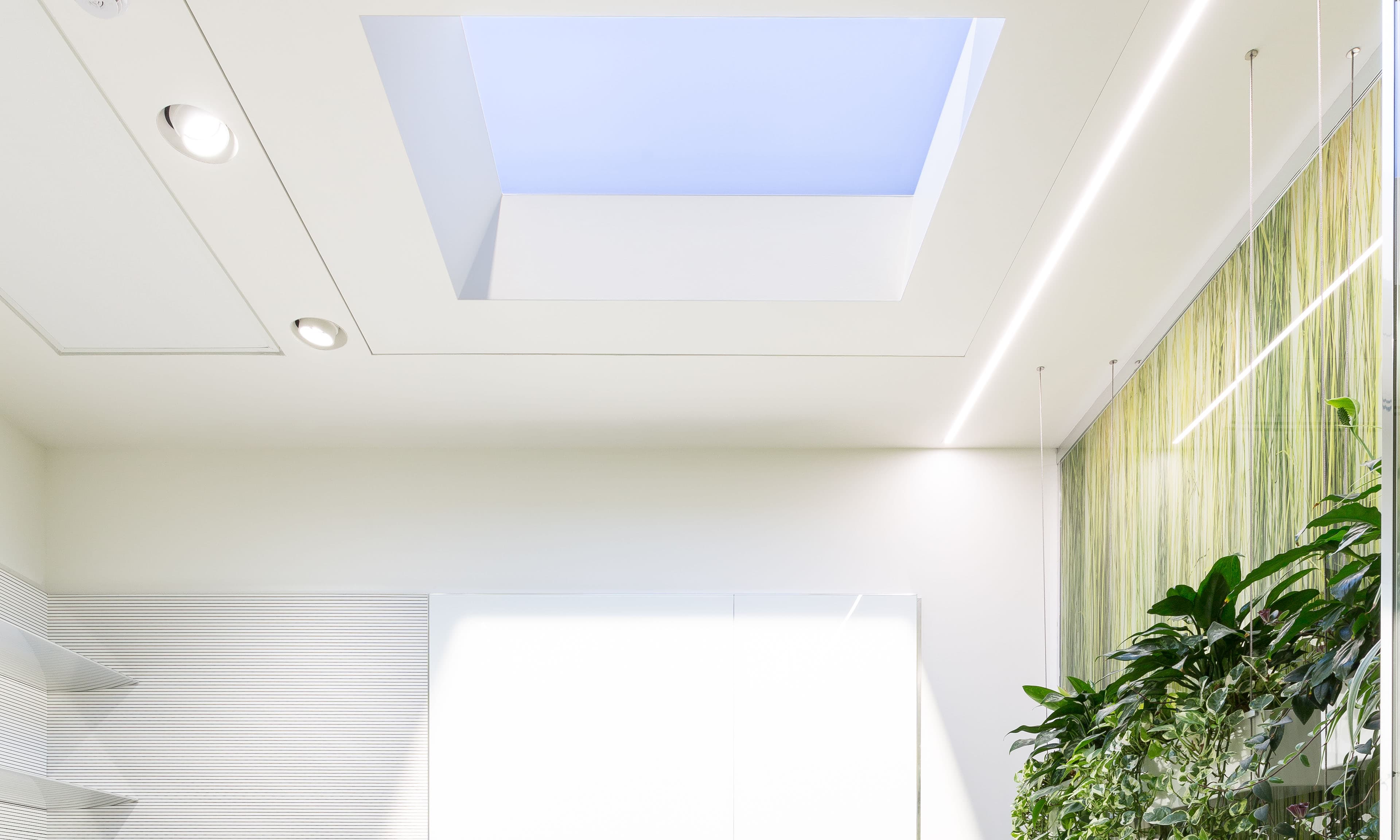 Встраиваемая в потолок система освещения CoeLux CoeLux® 45 LC CoeLux