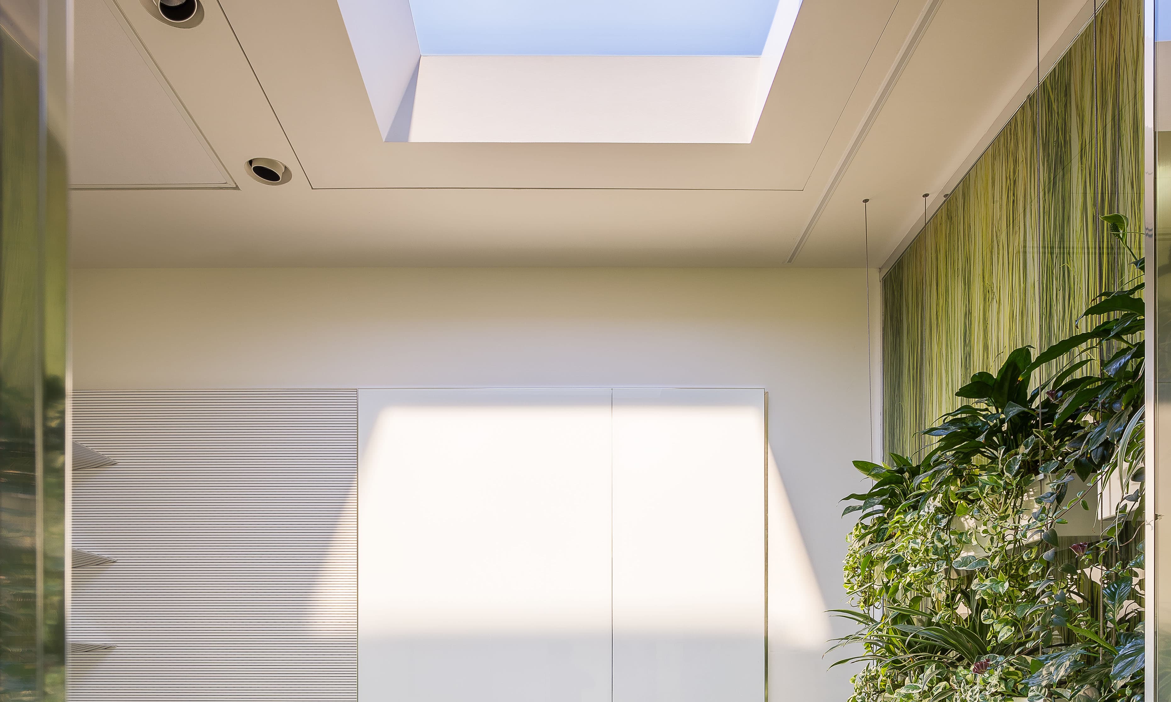 Встраиваемая в потолок система освещения CoeLux CoeLux® 45 LC CoeLux