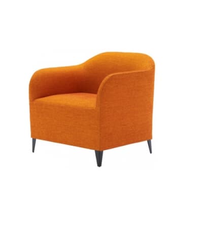 Ligne Roset LUCA SOFT Armchair