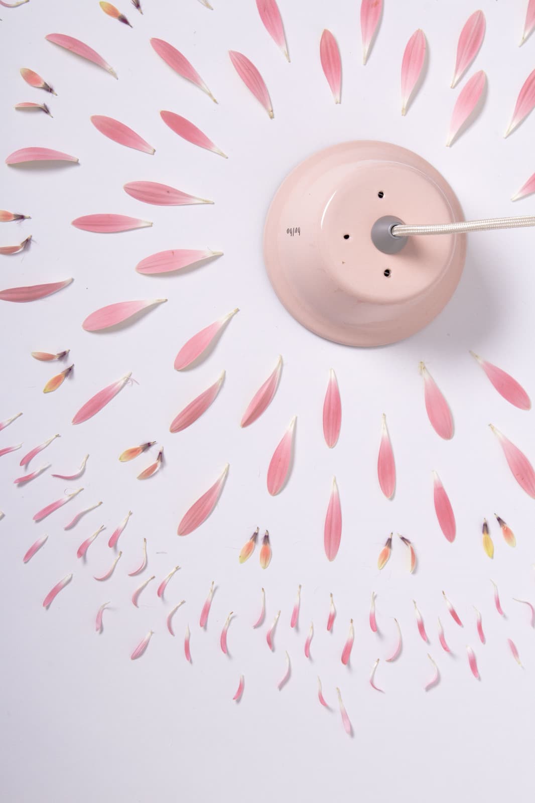 Настольный светильник Linea Light Chlorophyll Linea Light