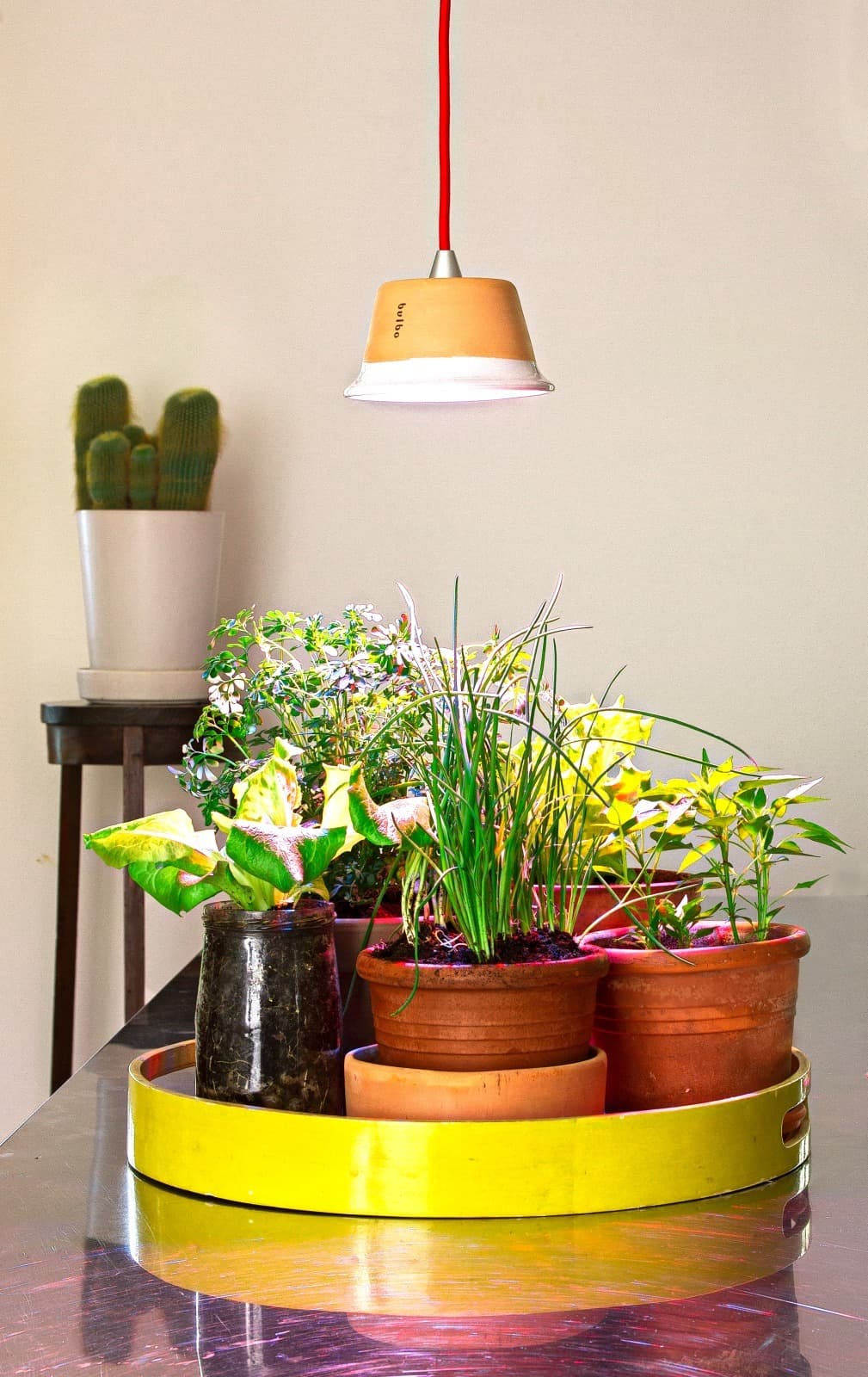 Настольный светильник Linea Light Chlorophyll Linea Light