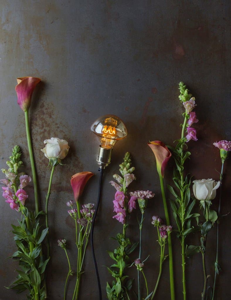 Филаментовая лампочка Plumen Willow Dimmable LED CG95 Plumen