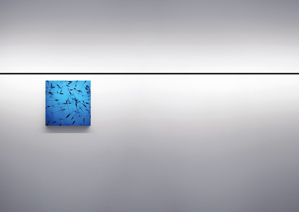 Система освещения Davide Groppi Infinito Davide Groppi