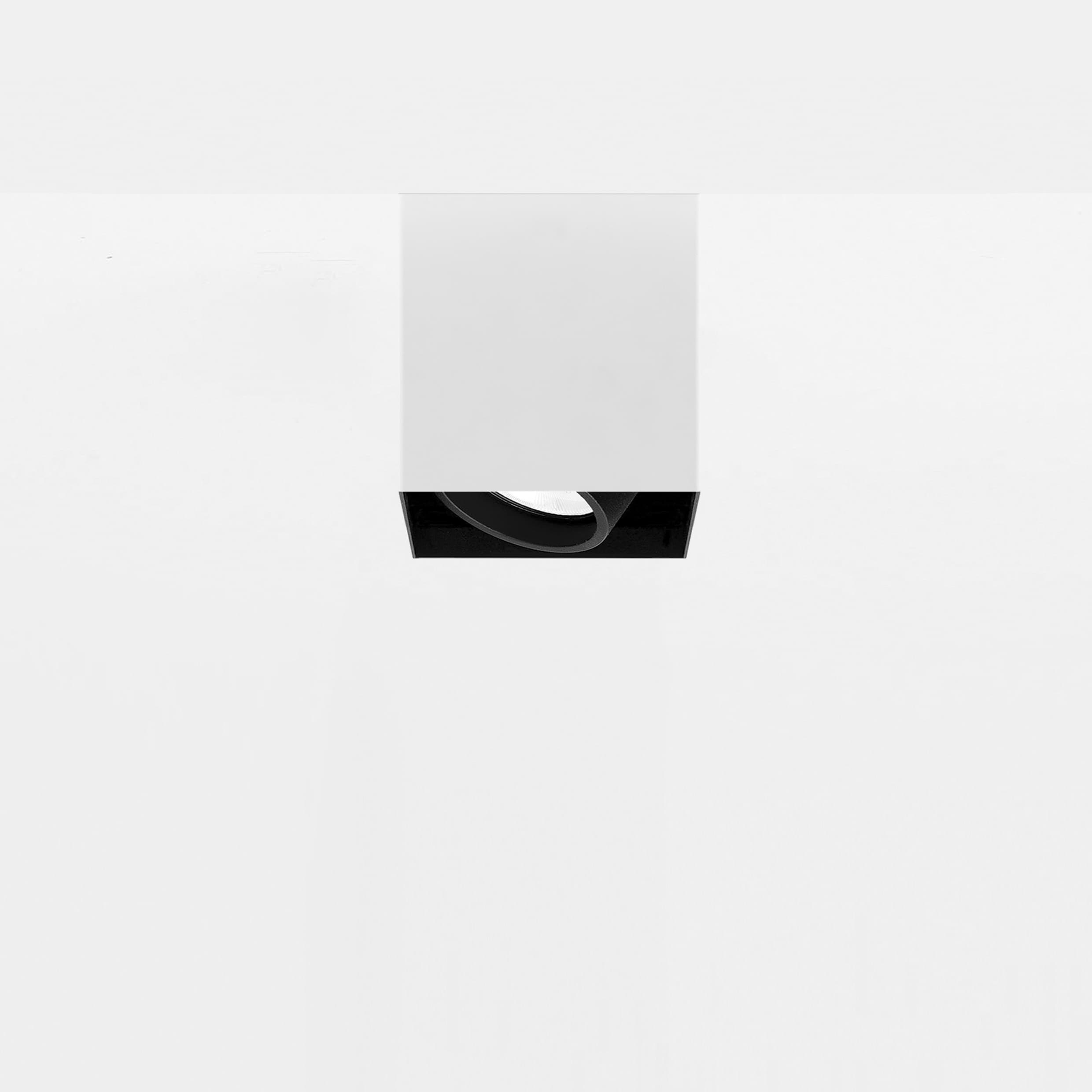 Потолочный светильник Davide Groppi MINI PL Davide Groppi