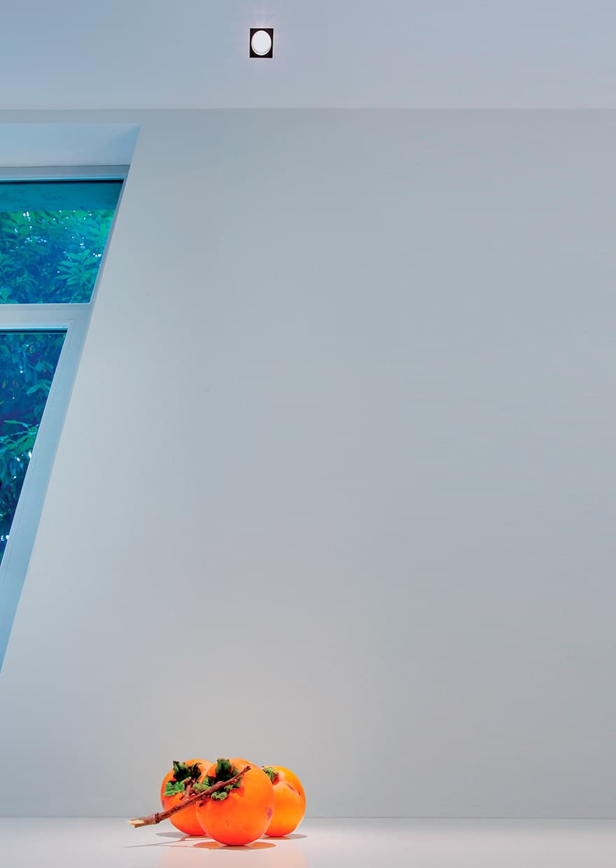 Встраиваемый светильник Davide Groppi MINI PUNTO 51 Davide Groppi