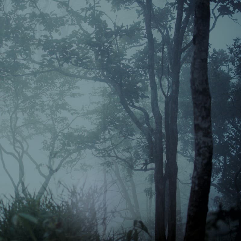 Обои Adriani & Rossi MOON