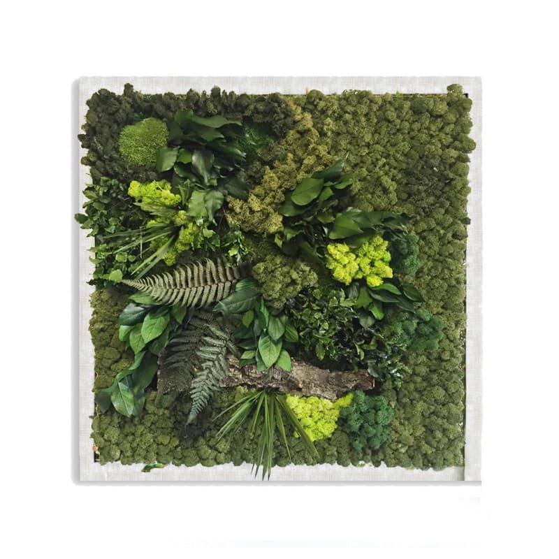 Декор "зеленая стена" Adriani & Rossi Picture Frame Pialla Lichen with leaves