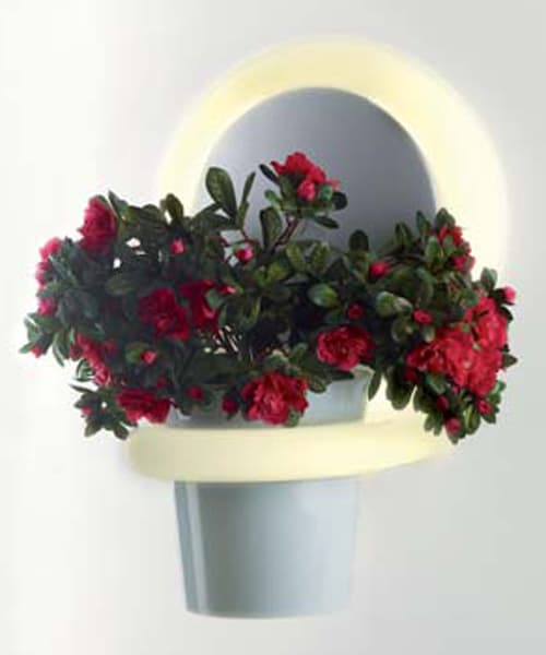 Настенный светильник B-lux Aroa B-lux