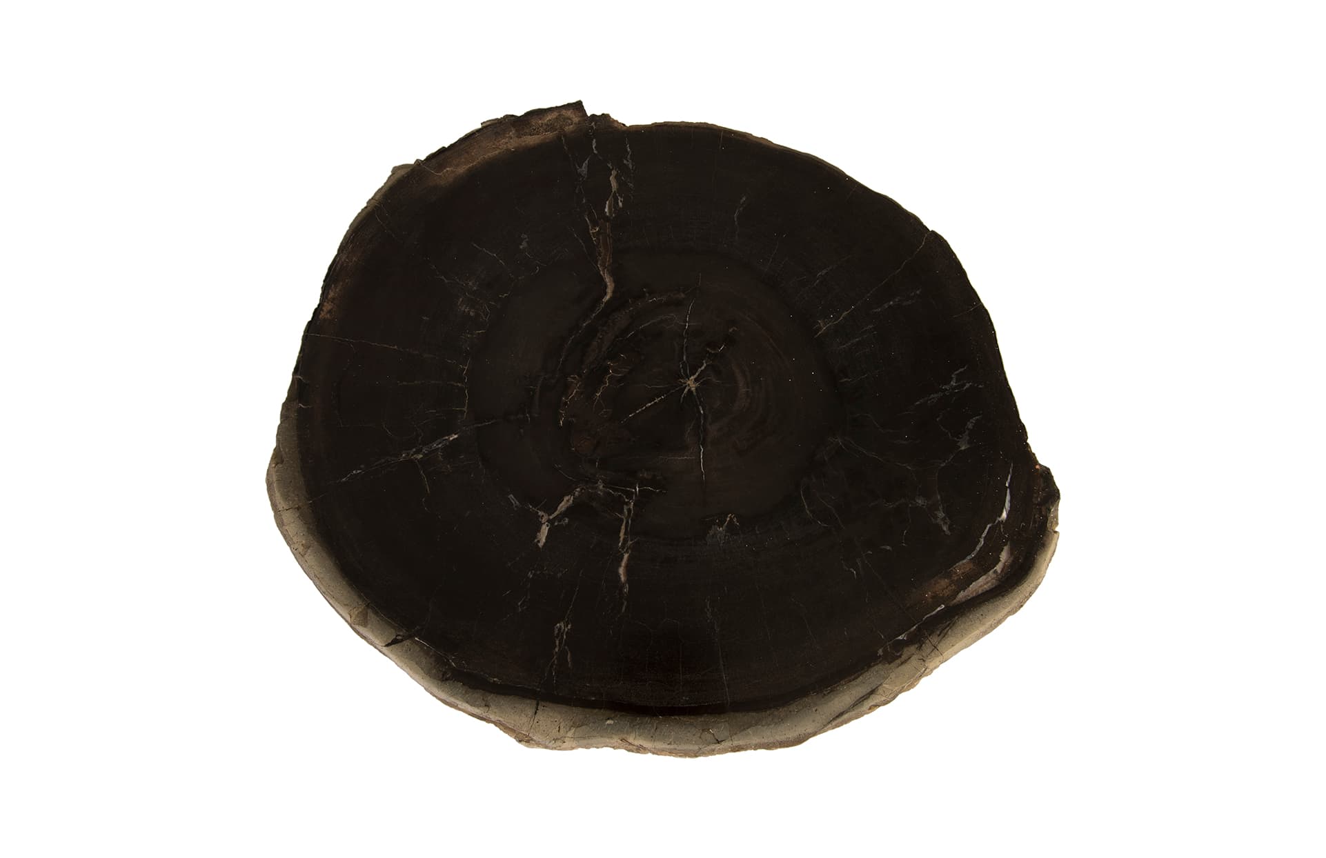 Журнальный столик Phillips Collection Petrified Wood Coffee Table, SS Legs