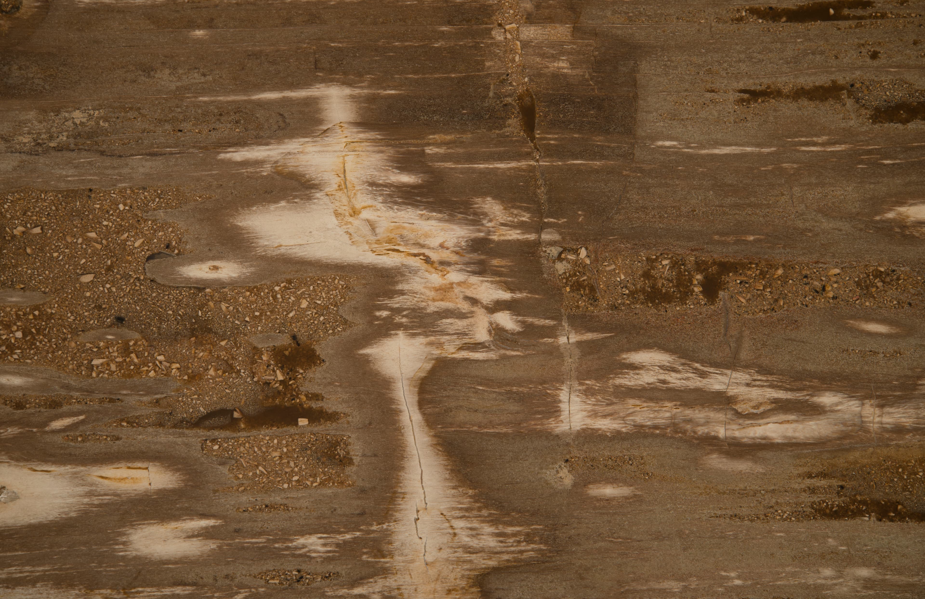 Обеденный стол Phillips Collection Petrified Wood Dining Table, Brushed Stainless Steel