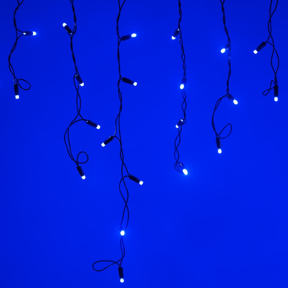 Arlight Светодиодная гирлянда ARD-EDGE-CLASSIC-2400x600-BLACK-88LED-STD BLUE (230V, 6W) (Ardecoled, IP65) 026009