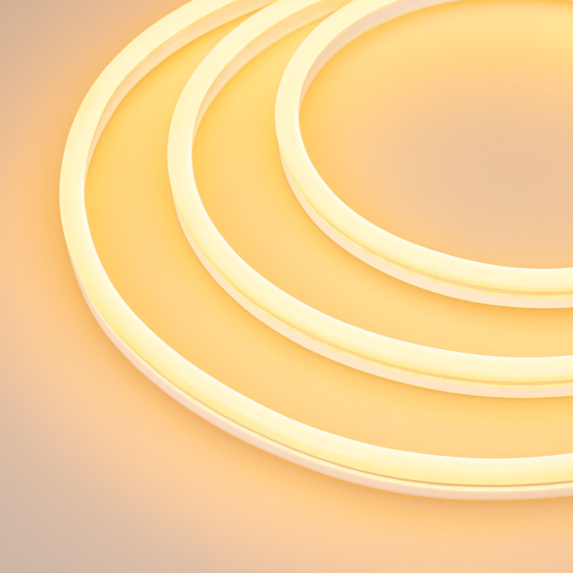 Образец Гибкий неон GALAXY-1608-5000CFS-2835-100 12V Yellow 0.5M (16x8mm, 12W, IP67) (Arlight, 12 Вт/м, IP67) 030973