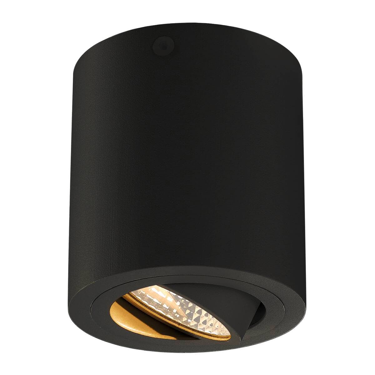 SLV TRILEDO ROUND CL ceiling light