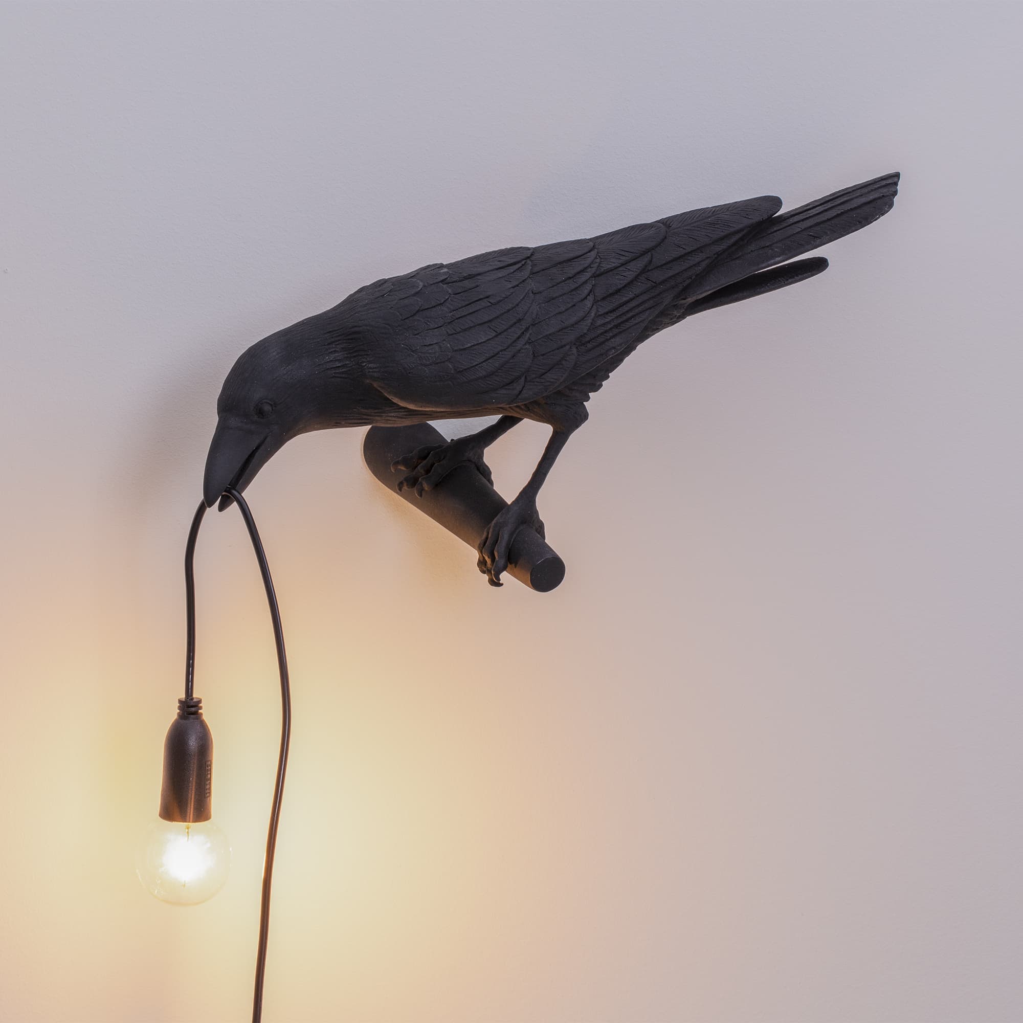 Настенный светильник Seletti Bird Lamp Black Looking Left — фото 3