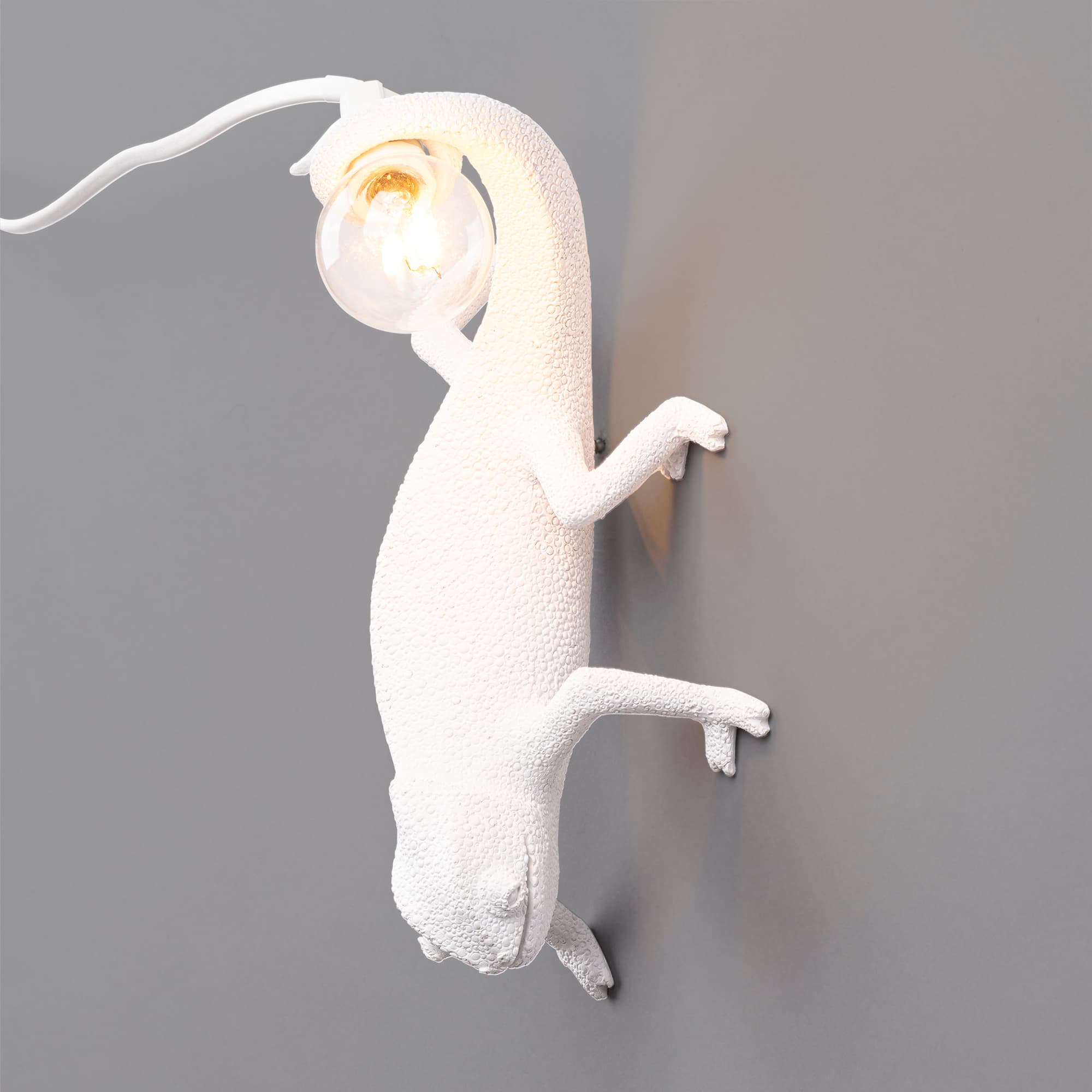 Настенный светильник Seletti Chameleon Lamp Going Down — фото 2