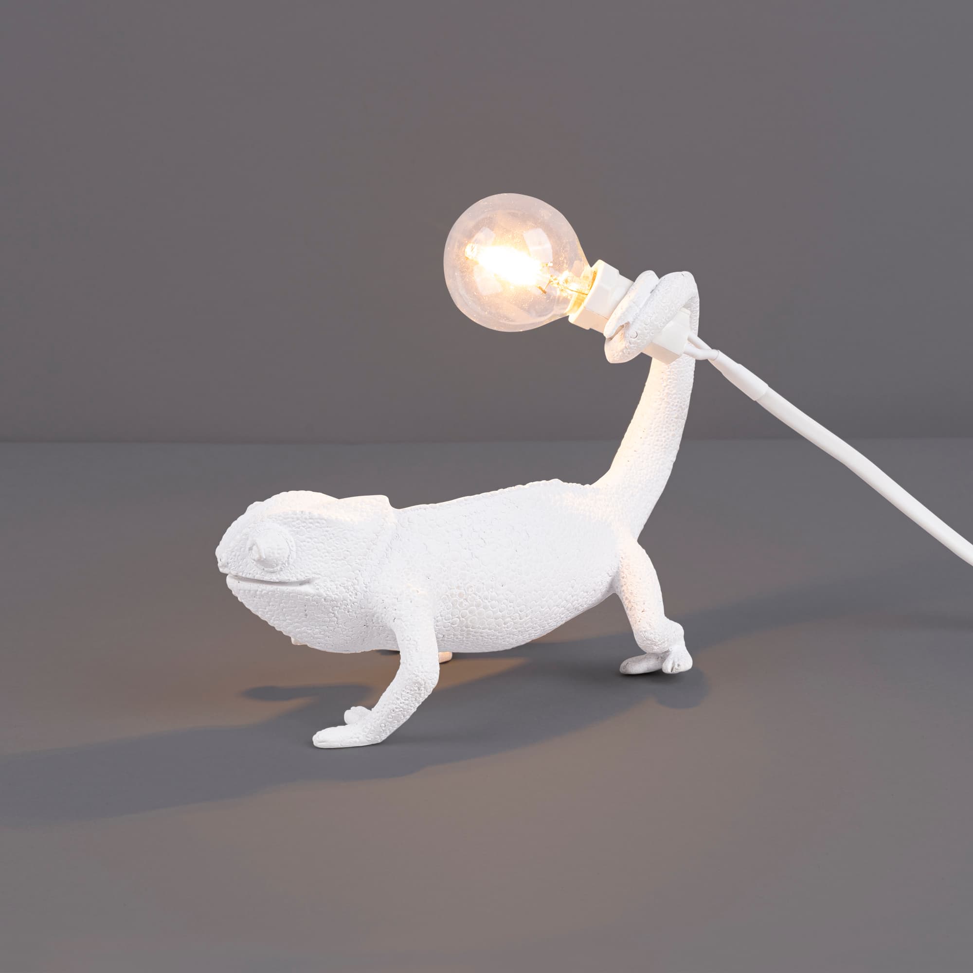Настольный светильник Seletti Chameleon Lamp Still — фото 5