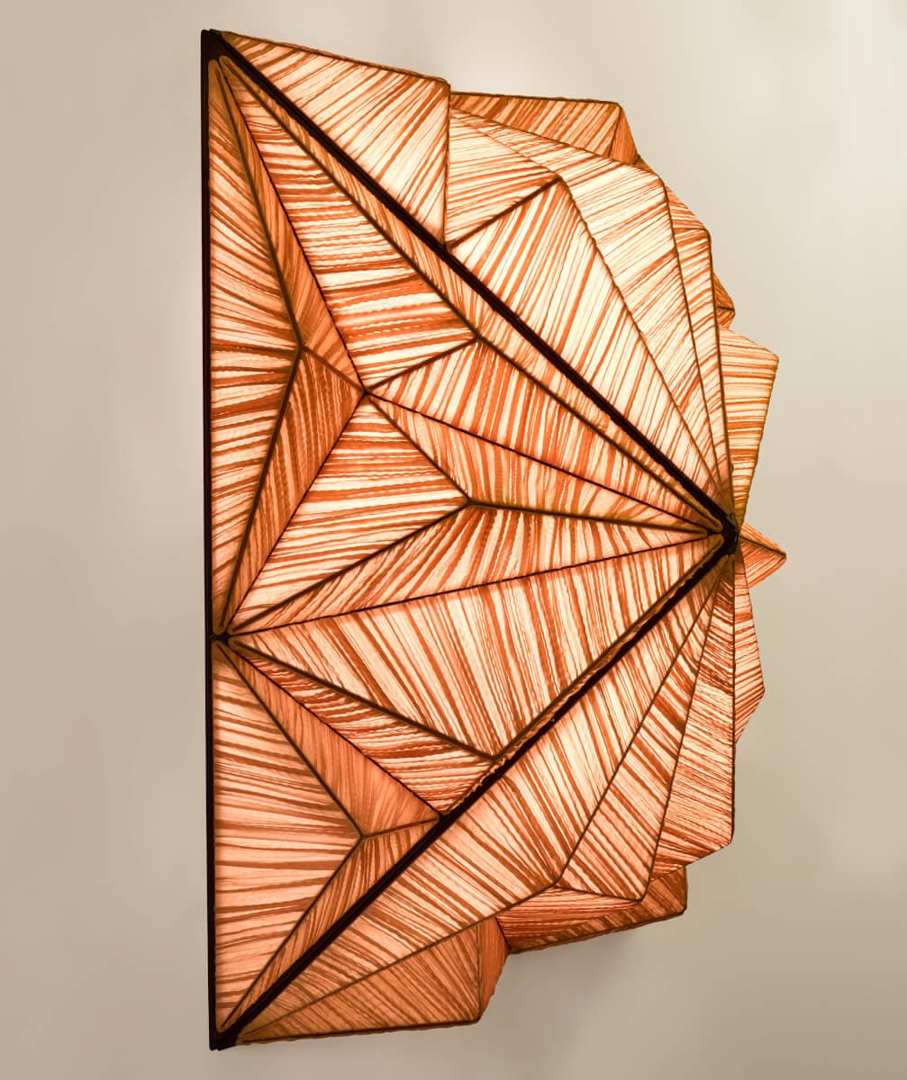 Настенно-потолочный светильник Aqua Creations Zooid 1M Wall & Ceiling Light — фото 2