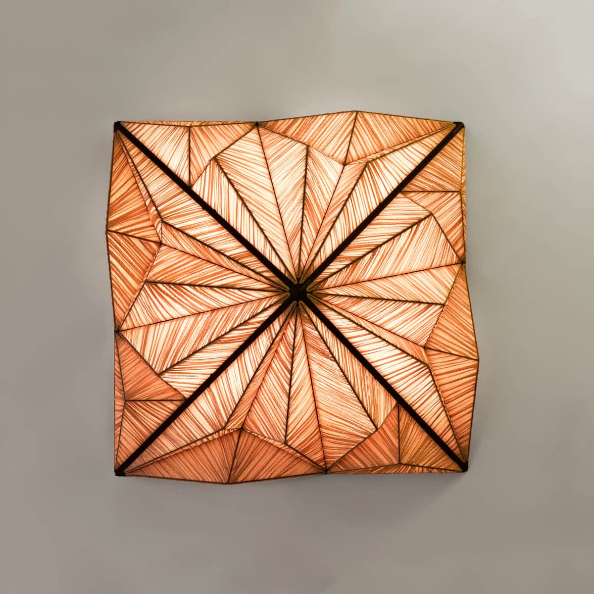 Настенно-потолочный светильник Aqua Creations Zooid 1M Wall & Ceiling Light