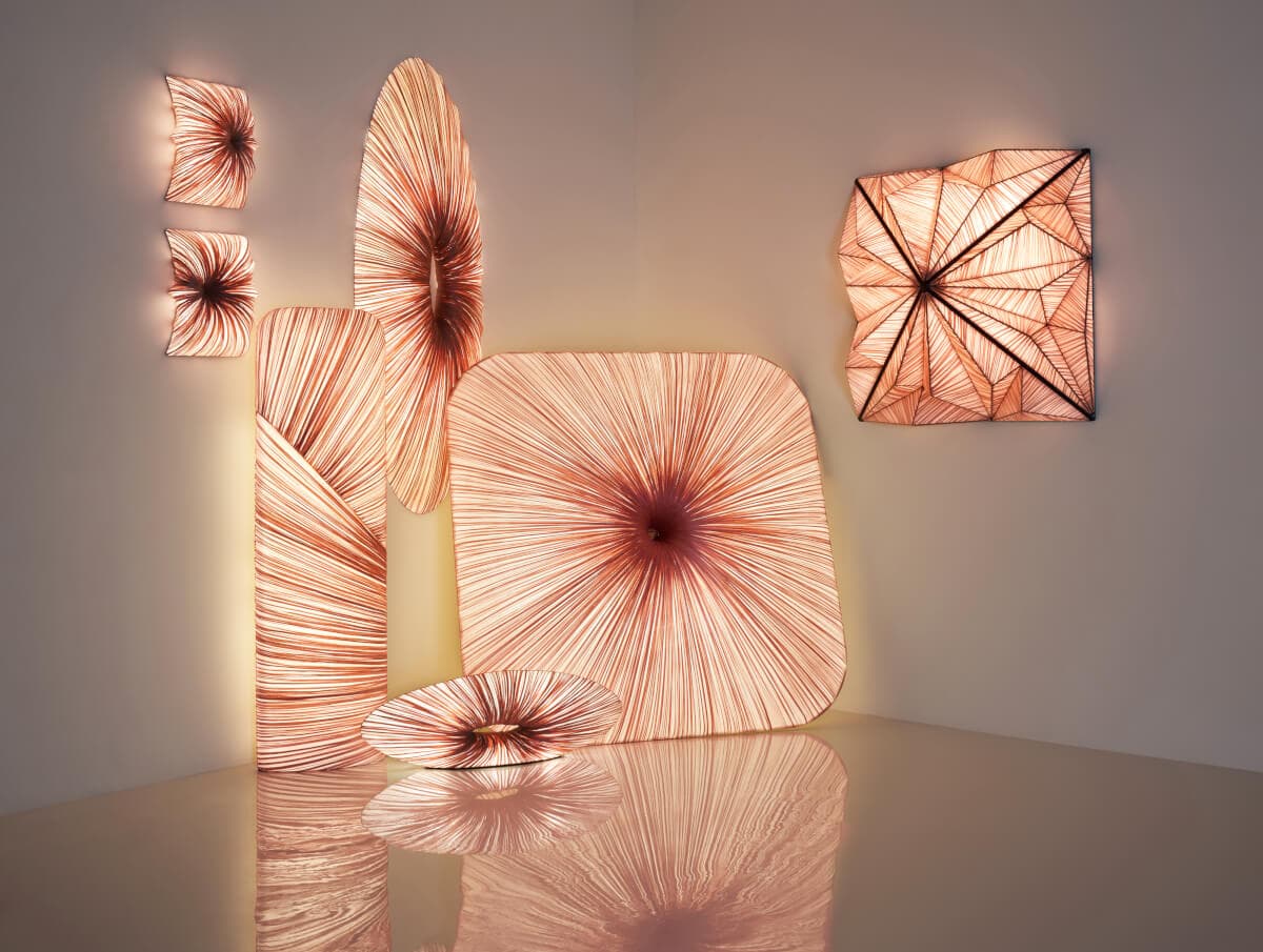 Настенно-потолочный светильник Aqua Creations Zooid 1M Wall & Ceiling Light — фото 4