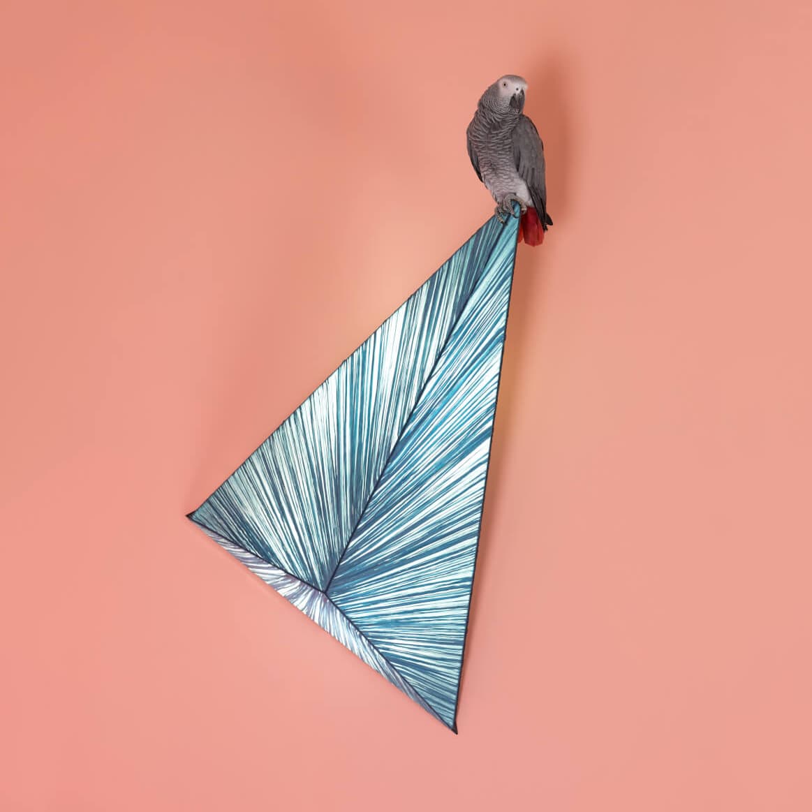 Настенно-потолочный светильник Aqua Creations Zooid Wall & Ceiling Light