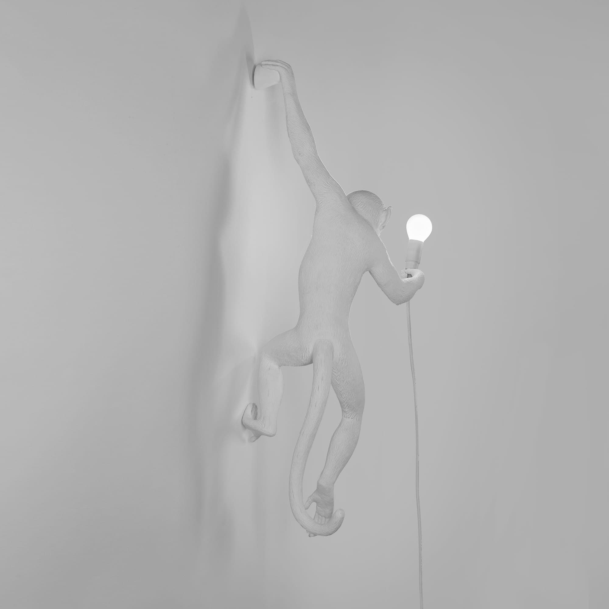 Настенный светильник Seletti The Monkey Lamp Black Hanging Version — фото 5