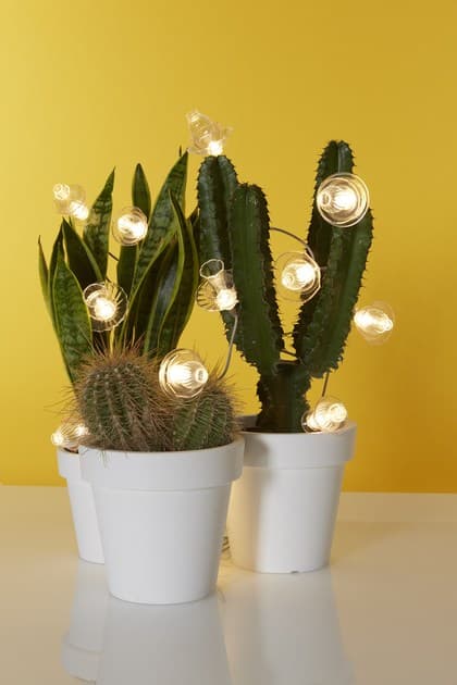 Подвесной светильник Seletti Floralia Set of 12 Lights — фото 3