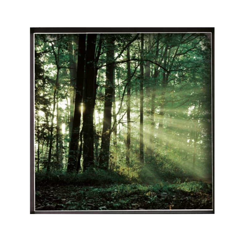 Картины Adriani & Rossi Murales or Pictures Vip photo-frame — фото 2