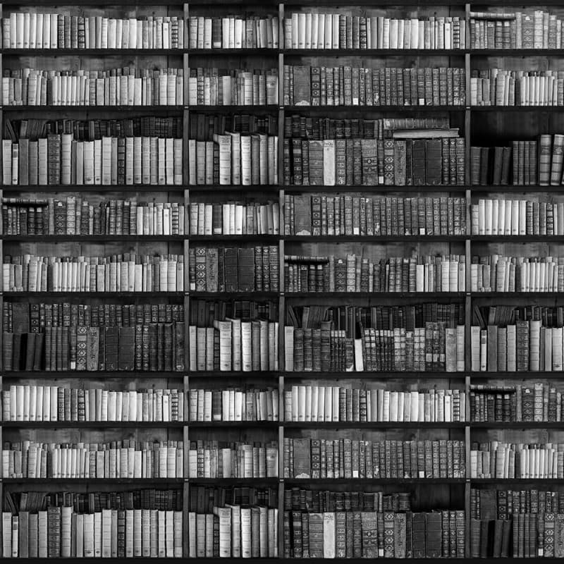 Обои Adriani & Rossi Bookcase — фото 3