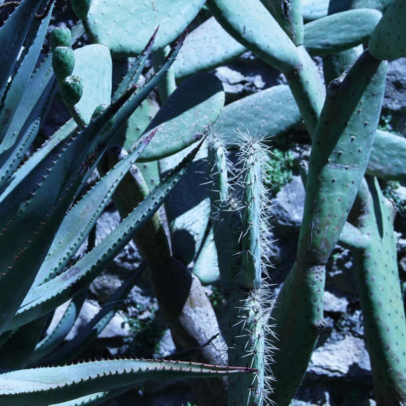 Обои Adriani & Rossi INSIDE — фото 4