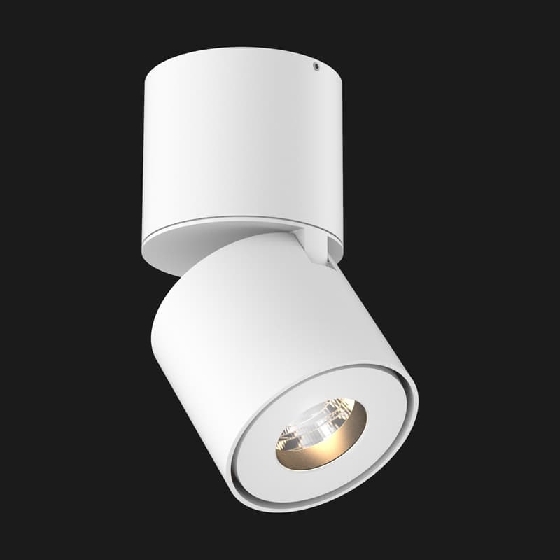 Потолочный светильник Doxis Titan Surface Mounted