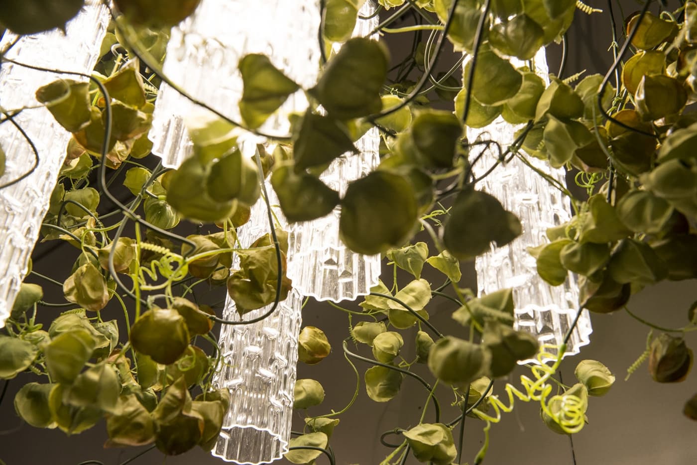 Подвесной светильник VGnewtrend FLOWER POWER PHYSALIS — фото 3