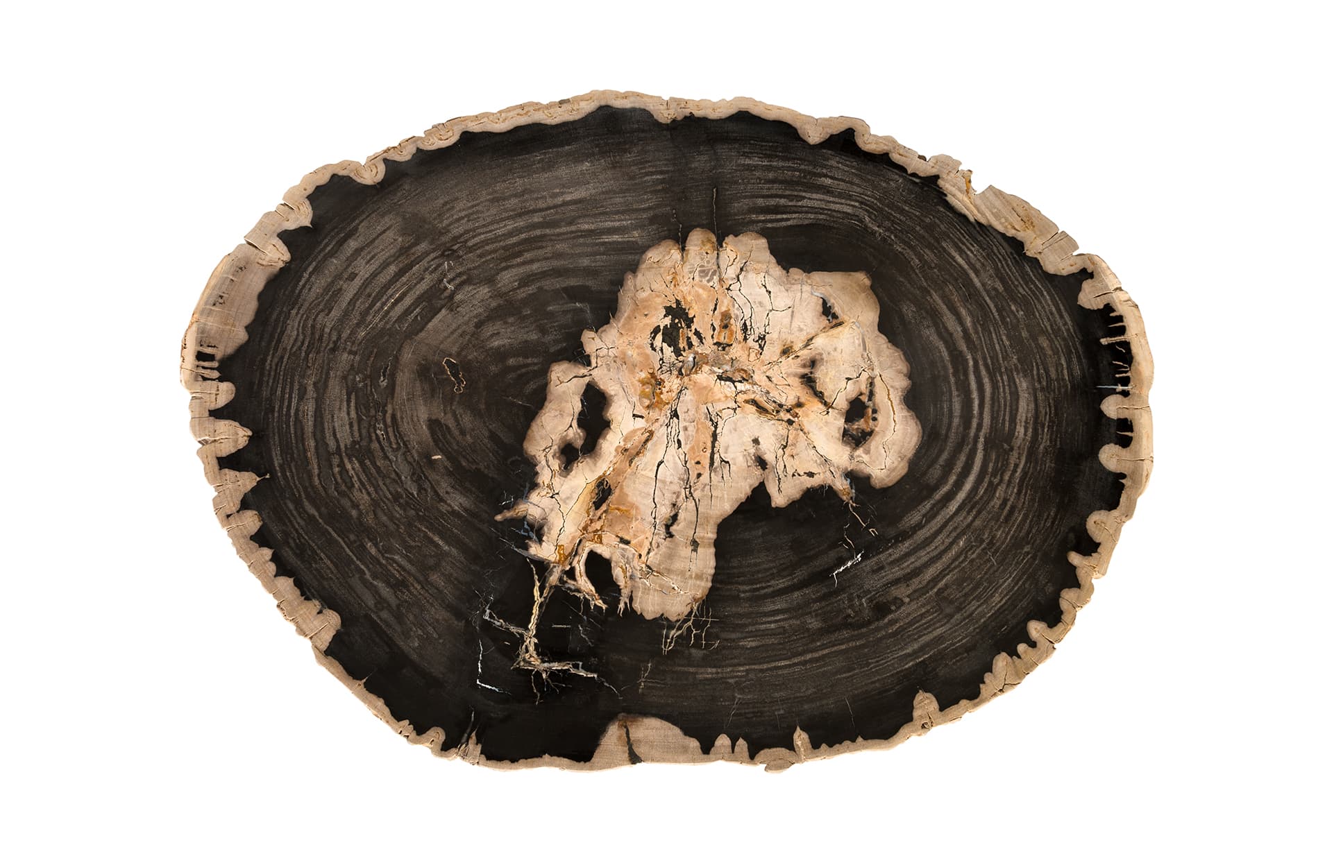 Кофейный столик Phillips Collection Petrified Wood Coffee Table — фото 5