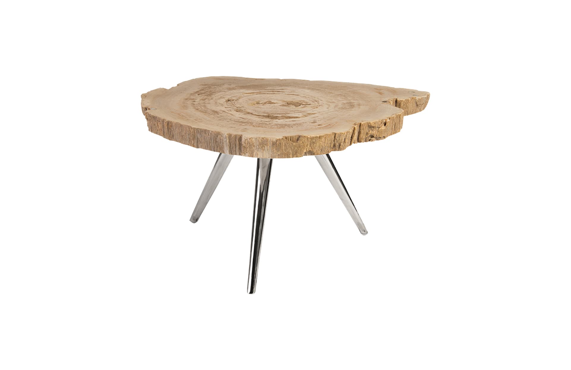 Кофейный столик Phillips Collection Petrified Wood Coffee Table, Stainless Steel Legs — фото 2