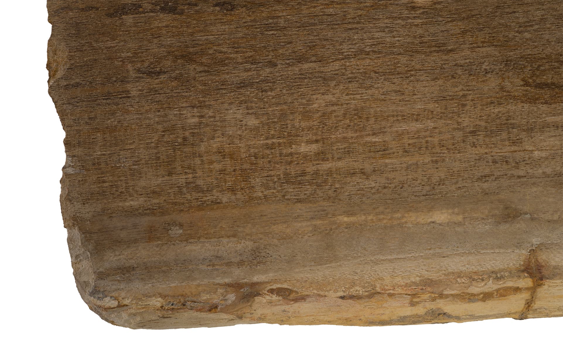 Журнальный столик Phillips Collection Petrified Coffee Table rectangular — фото 2