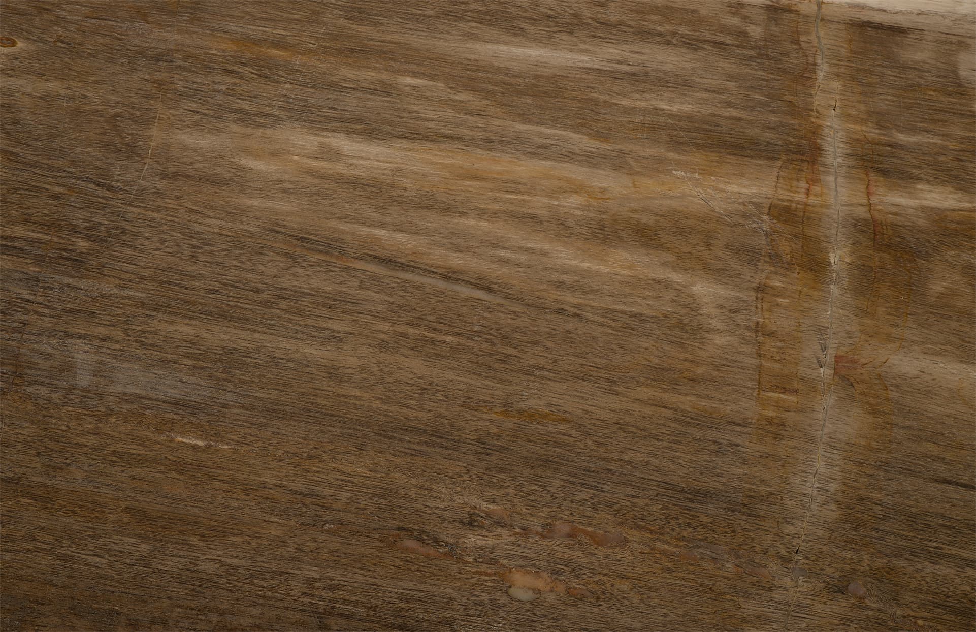 Журнальный столик Phillips Collection Petrified Coffee Table rectangular — фото 3