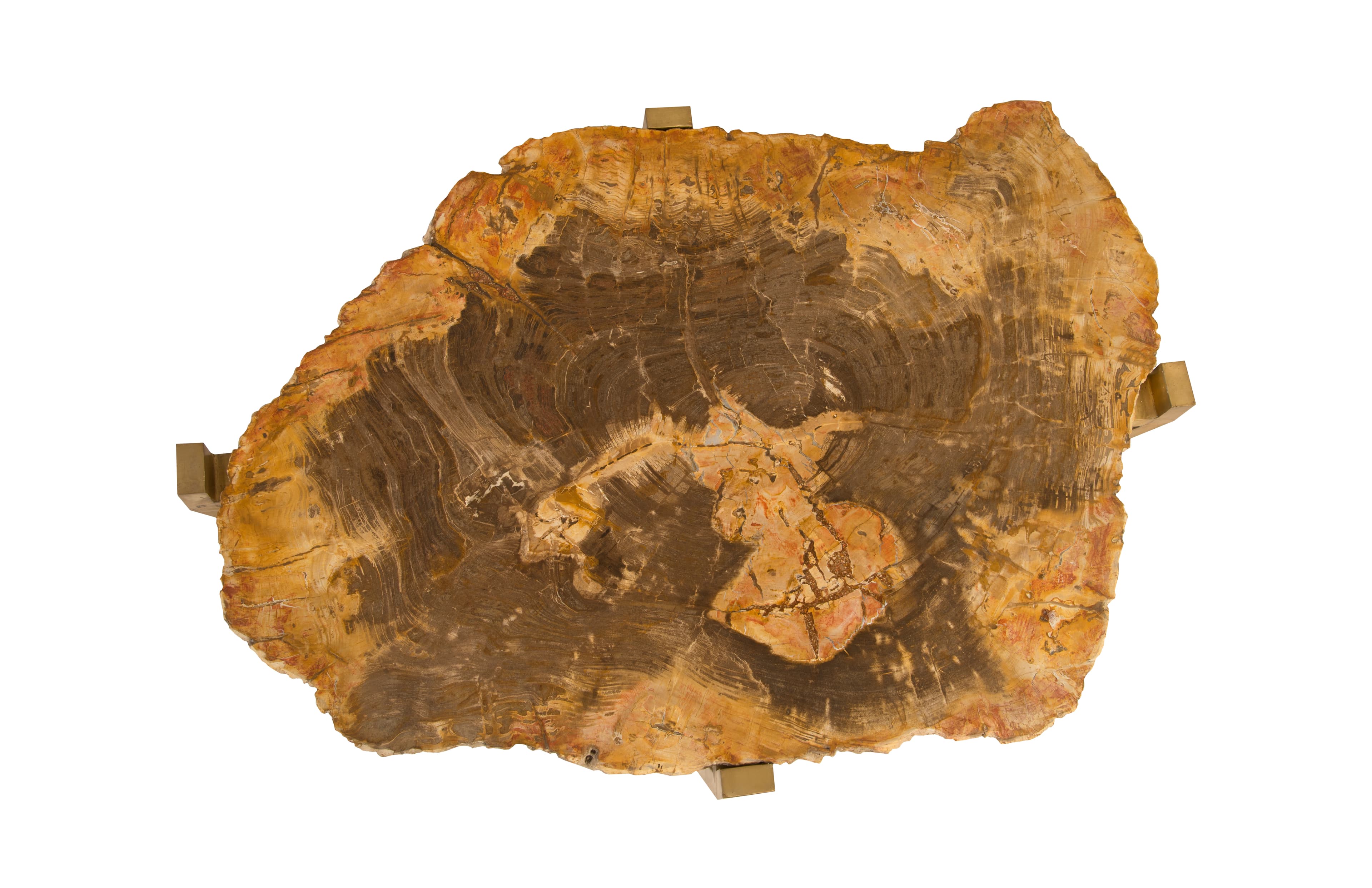Журнальный столик Phillips Collection Petrified Wood Coffee Table — фото 2
