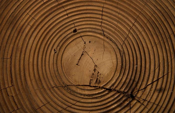 Приставной столик Phillips Collection Lathe Side Table, Chamcha Wood — фото 4