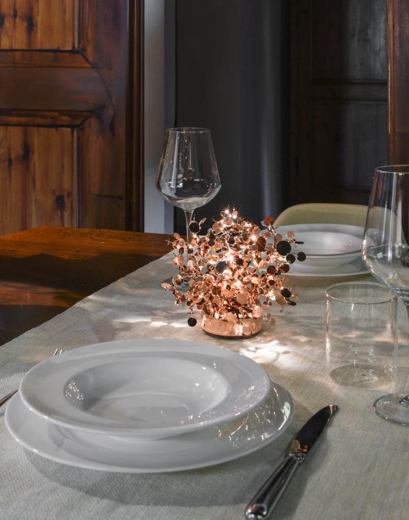 Terzani Argent, mon bijou portable table lamp — фото 5