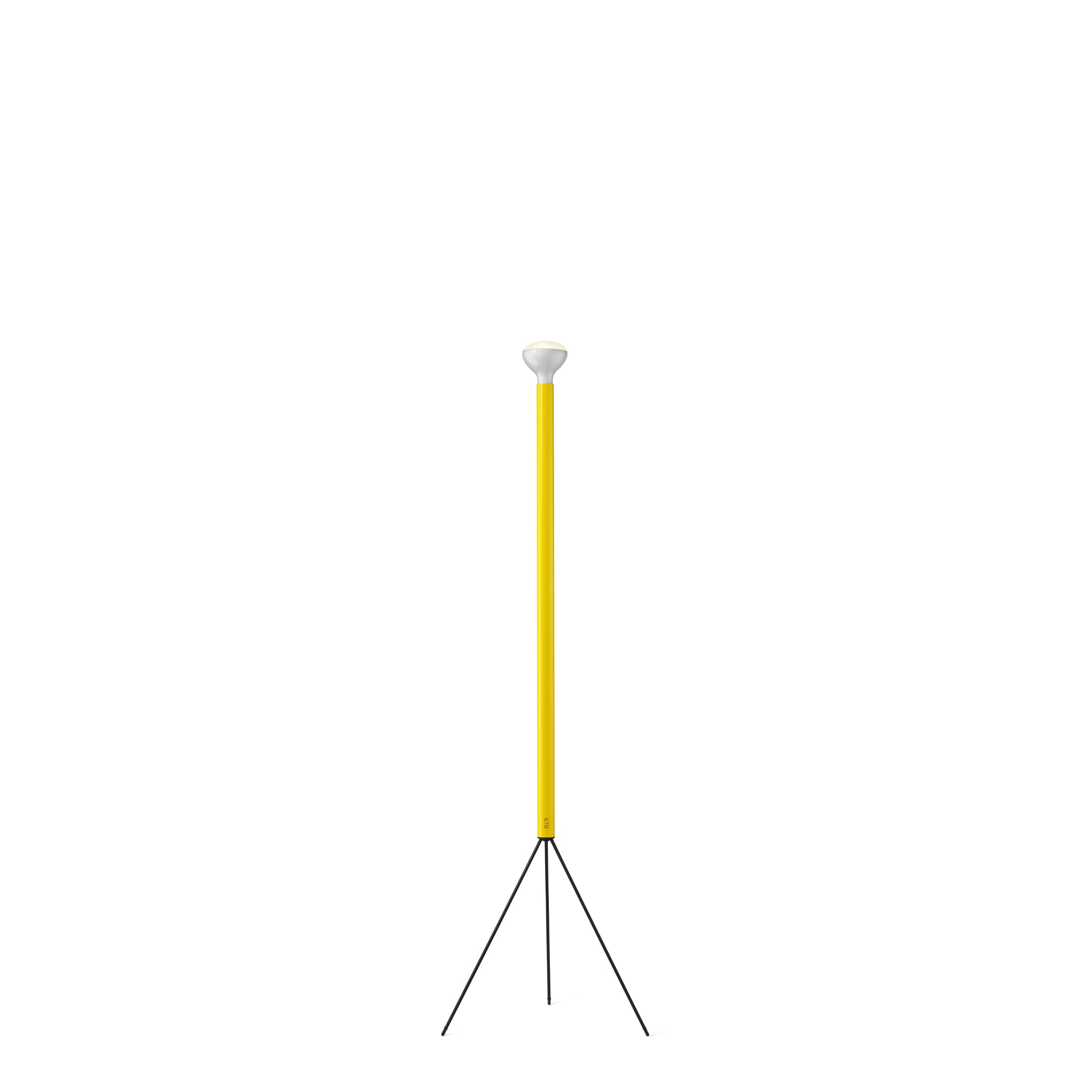 Flos Luminator