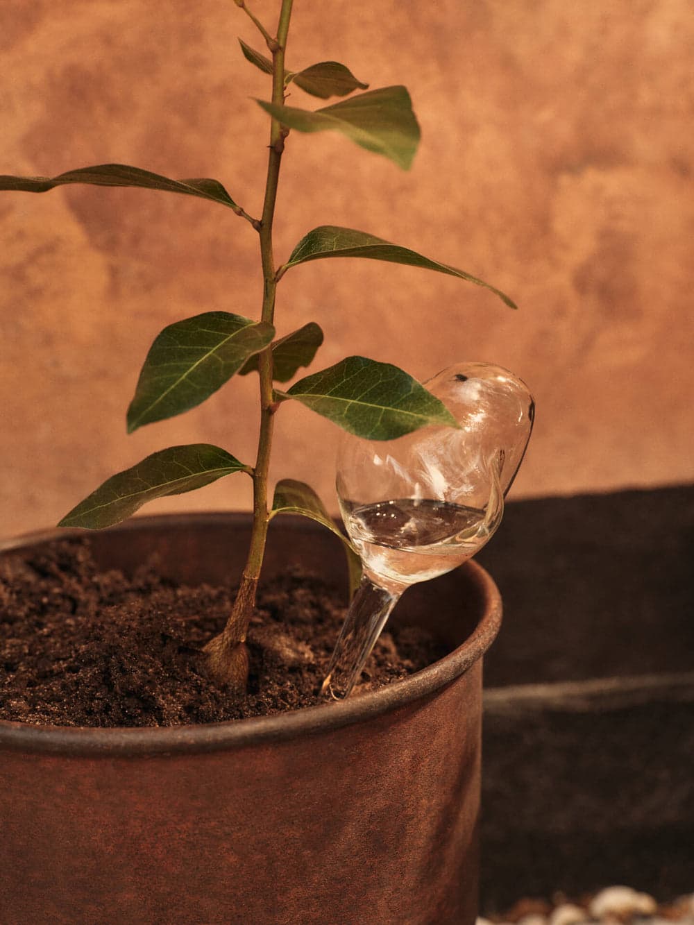 Ferm Living Mercury Water Globes - Small - Set of 2 - Clear — фото 3