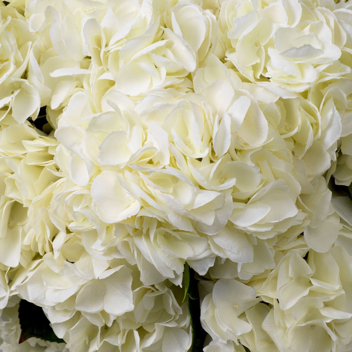 Eichholtz Bouquet of Hydrangeas real touch 48 pcs/2 varietie — фото 3