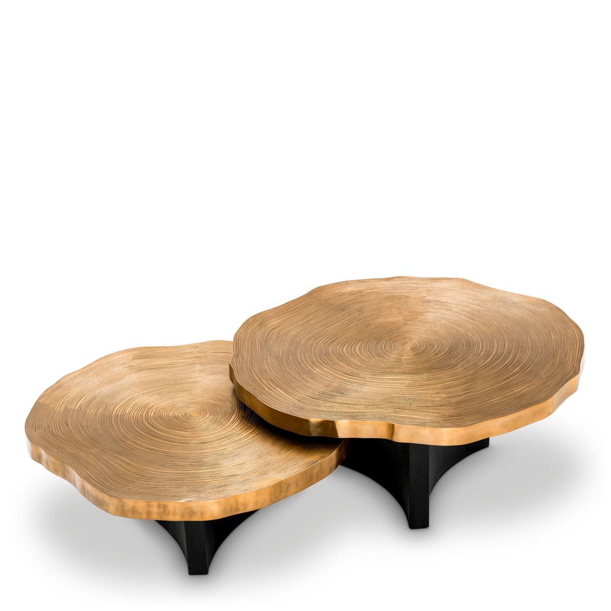 Eichholtz Coffee Table Thousand Oaks set of 2 — фото 3