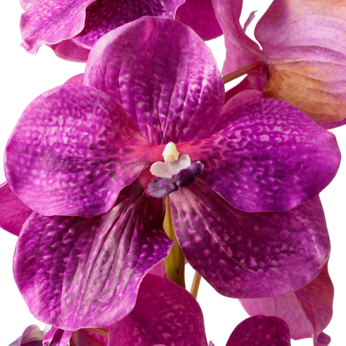 Eichholtz Bouquet of Vanda Orchids real touch 24 pcs — фото 4
