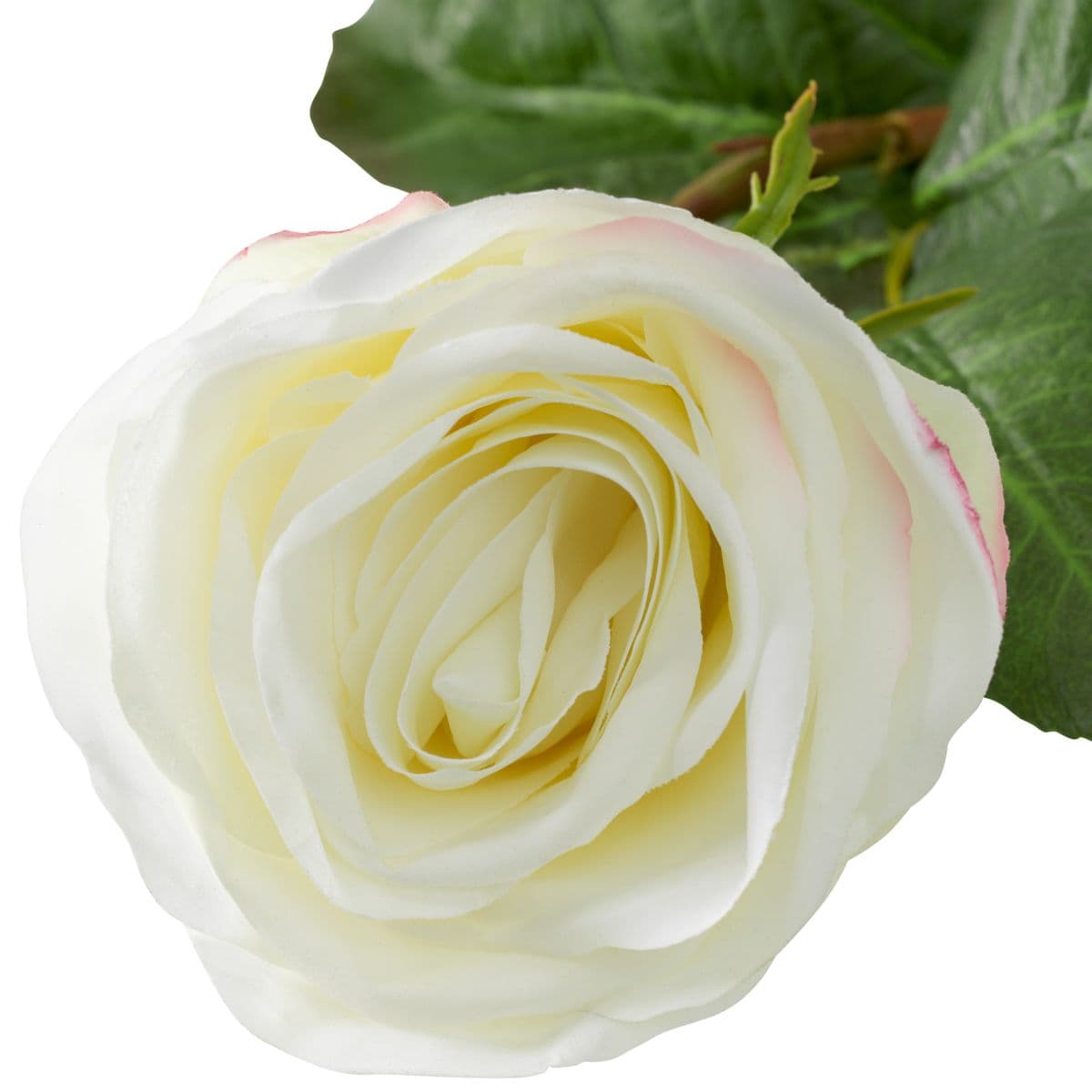 Eichholtz Bouquet of Roses real touch 72 pcs/2 varieties — фото 6