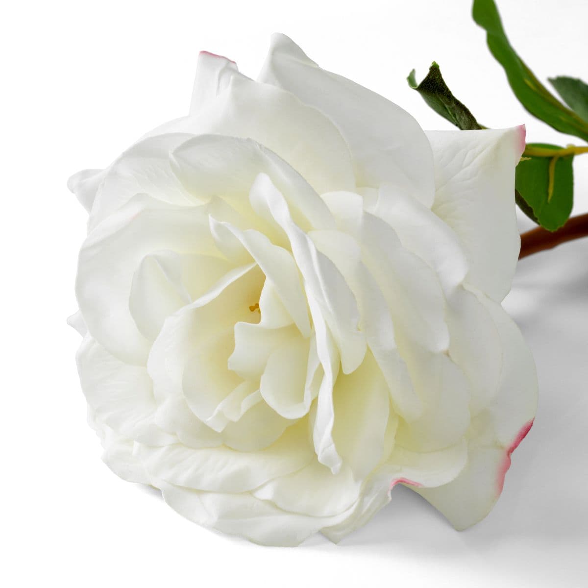 Eichholtz Bouquet of Roses real touch 72 pcs/3 varieties — фото 6
